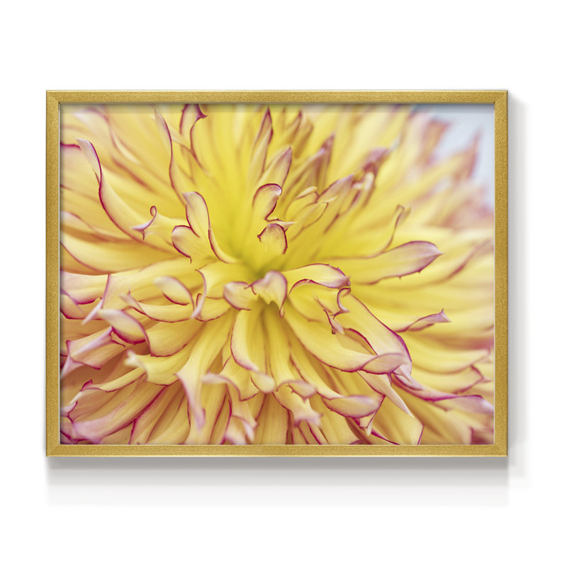 Blooms III -Framed Print - Restickable, 8" H x 10" W