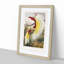 Two Birds of Paradise by Benjamin Fawcett - Picture Frame Painting Print-55777833-55777840