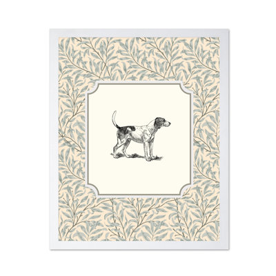 Foxhound Dog