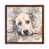 Brown Framed is unavailable