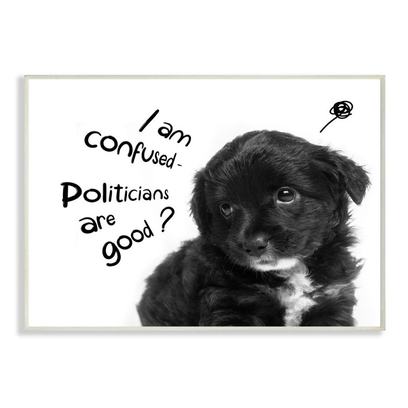 « Political Puppy »-impression de photo, Plaque murale, H 13 po x l 19 po