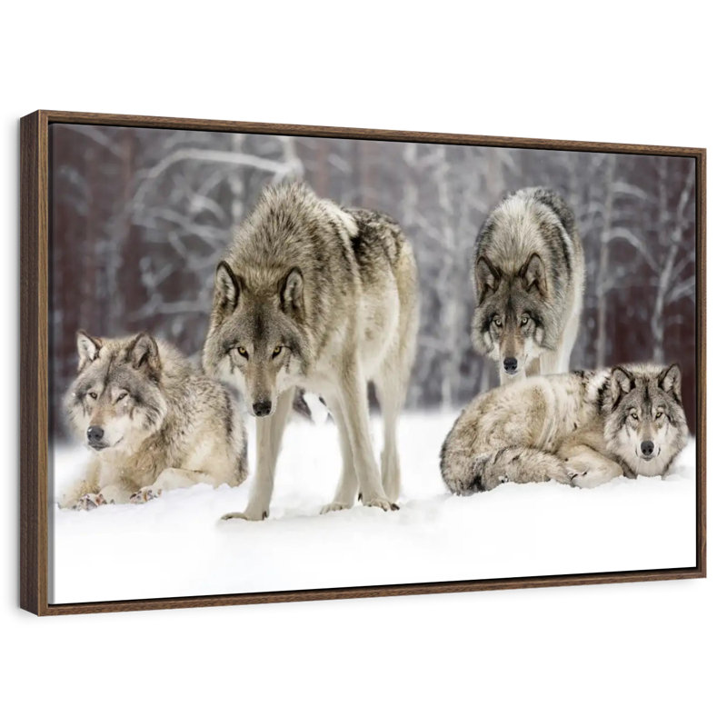 Loup, Cadre flottant noyer, 43 po x 29 po