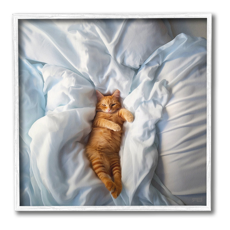 «Sprawled Orange Cat», art de la giclée encadrée par RB, Estampe numérique Farmhouse, H 24 po x l 24 po