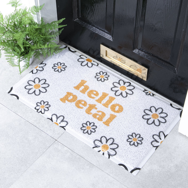 Minaksi Non-Slip Doormat
