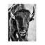 Phburchett, «Buffalo Portrait», art sur toile-586427360