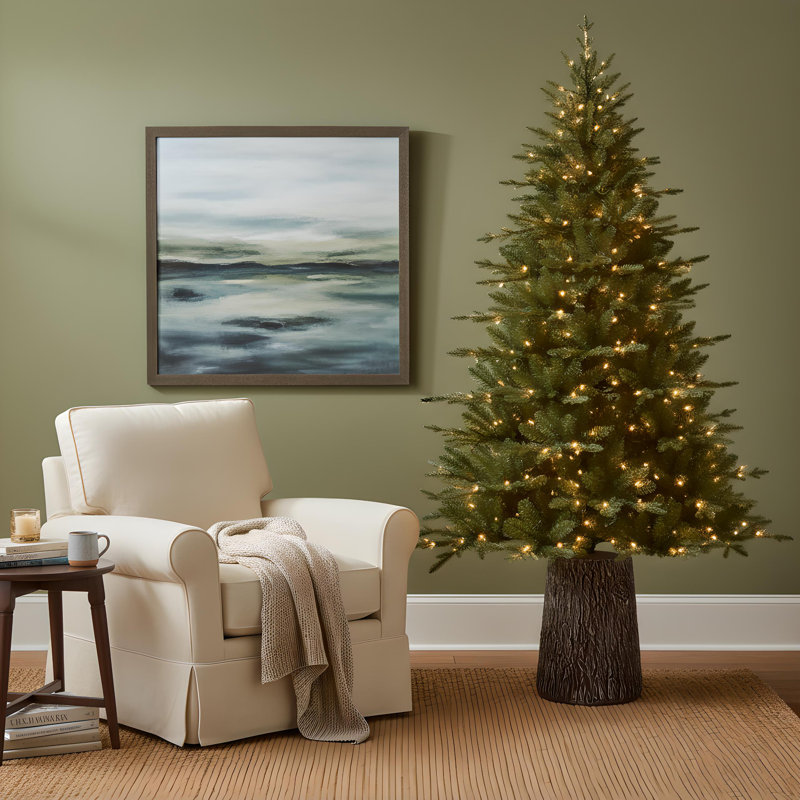 Sapin de Fraser Jasper Elite avec DEL