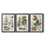 Exotic Botanique I - reproduction sur mesure encadrée de qualité supérieure - 3 pièces-1088650076-1088650078