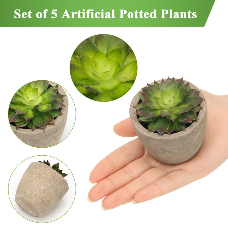 Set of 5 Potted Artificial Green and Gray Succulents