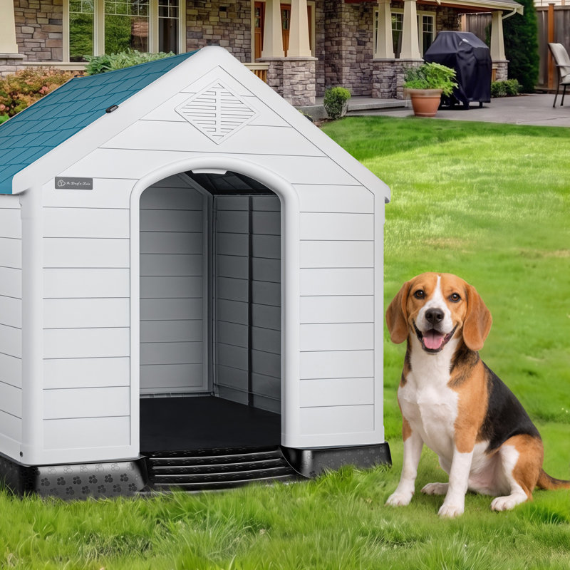 Niche pour chien en plastique Aunyae, Bleu, H 32 po x l 31 po x P 34 po