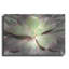 «Glowing Succulent I» par Lori Deiter-774869122