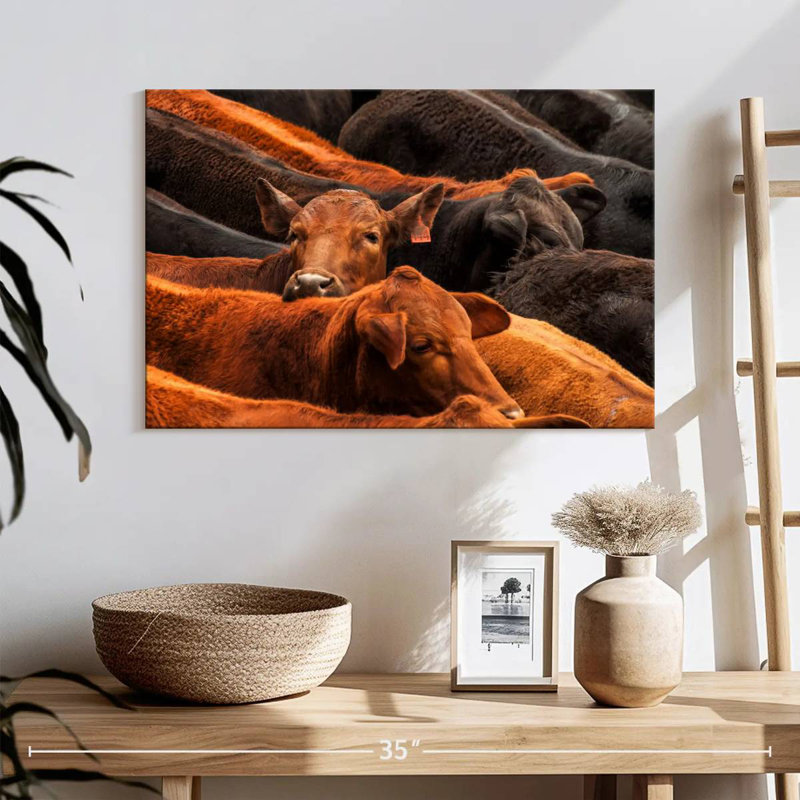 Beef Cattle, 16" H x 24" W