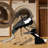 Washable Magpie lark Birds Area Rug-98594828