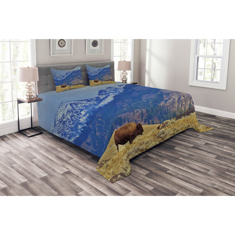 Micheal No Pattern Bedspread with Pillow Shams, 220 x 264 cm