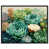 Black Frame n'est pas disponible