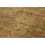Wool Oriental Area Rug in Beige/Rust