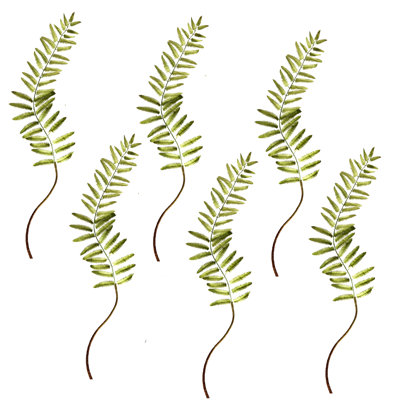 Fern Floral Stems