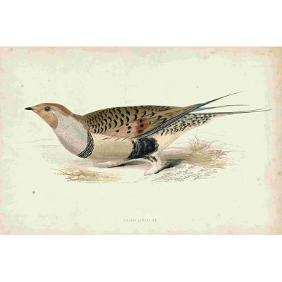 Morris Pheasants V