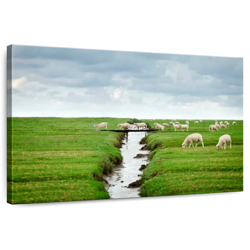 Pont Crowle Sheep River