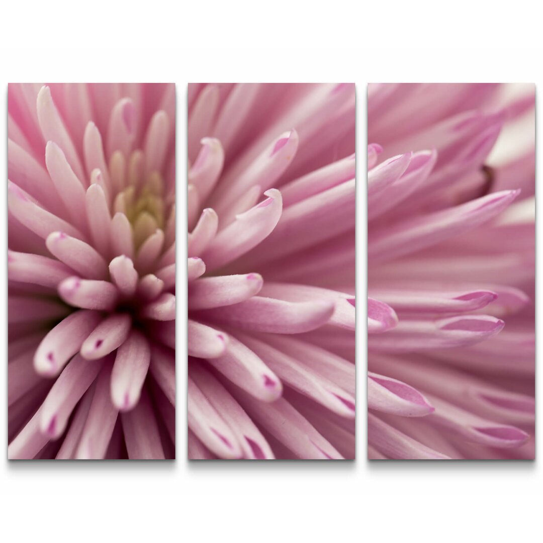 3-tlg. Leinwandbilder-Set Pinke Blume