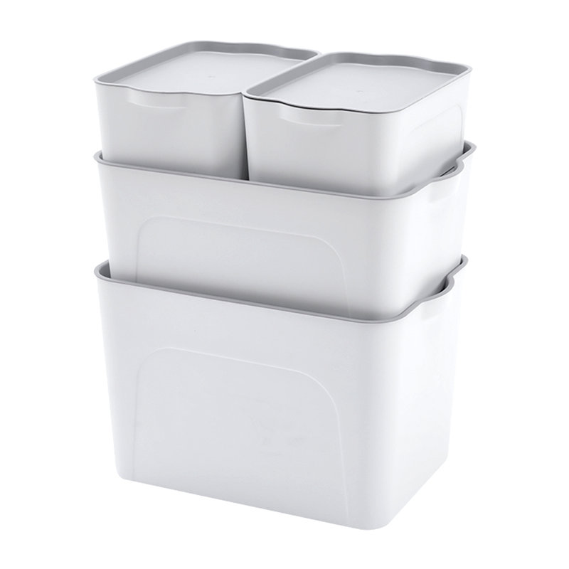 Rebrilliant Robert Plastic Box