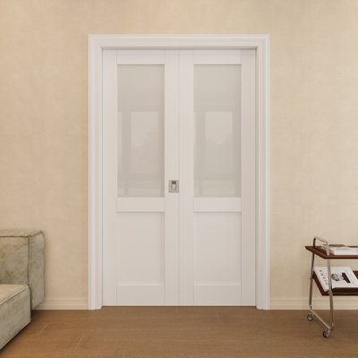 Porte à deux poches en verre givré 36 "x 80" avec serrure argentée, dalle de porte en verre trempé d'intimité et de sécurité, à peindre et imperméable, combinaison pour garde-robe, portes de garde-manger, portes de chambre à coucher
