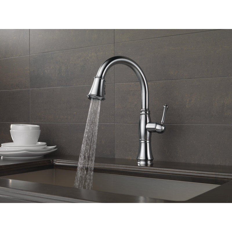 Cassidy™ Pull Down Sprayer Kitchen Sink Faucet, Single Handle Kitchen Faucet, Arctic Stainless