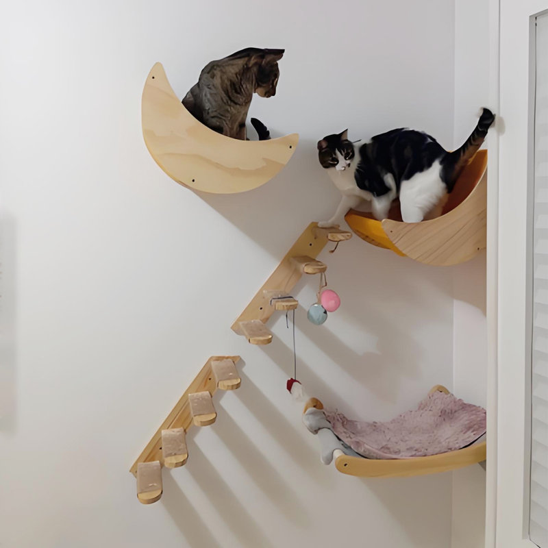 Ensemble de hamac pour chat