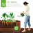 Rosonda Outdoor Metal Raised Planter Box-82630698-127370192