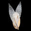 Plume 1 - Light Flush Mounted Sconce-61105793