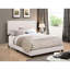 Lit tapissier, pieds en bois massif profond, superbe garniture cloutée avec garniture, pieds, conception de chambre à coucher moderne-1214506-1214507