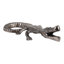 Sculpture décorative en aluminium représentant un alligator, idéale pour la décoration intérieure – Objet de décoration moderne pour le salon, à poser sur une étagère ou une table – 28 cm, argent et gris anthracite