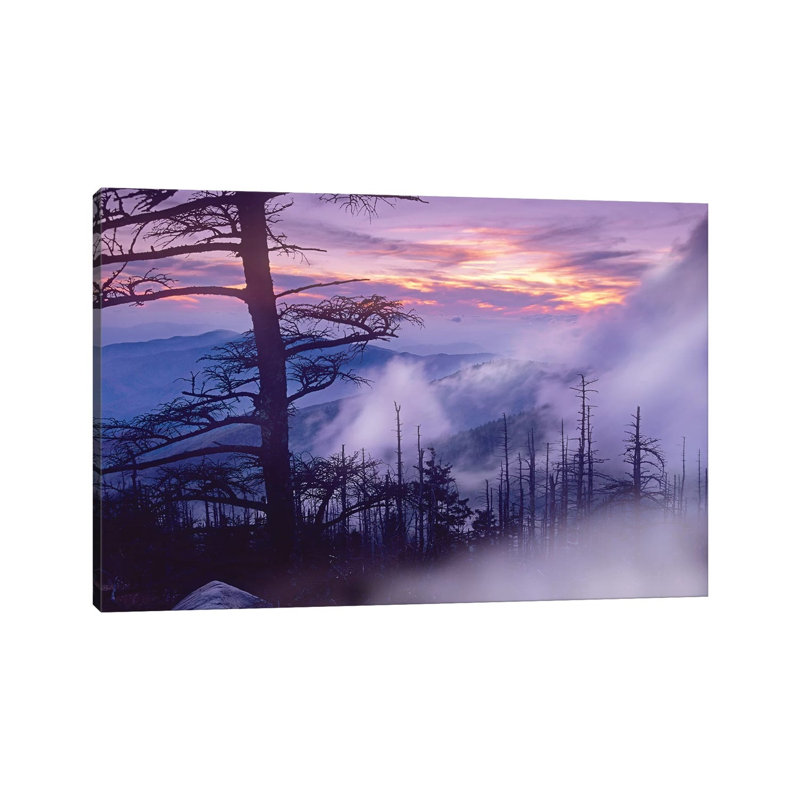 Rolling Fog on Clingman's Dome, Great Smoky Mountains National Park, Tennessee 1 Piece Wrapped Canvas Wall Art