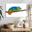 Brampt Vibrant Blue Chameleon-108116235