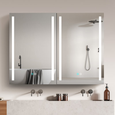Arainn 40'' W 30'' H Surface Mount Frameless Medicine Cabinet with Mirror and 4 Adjustable Shelves