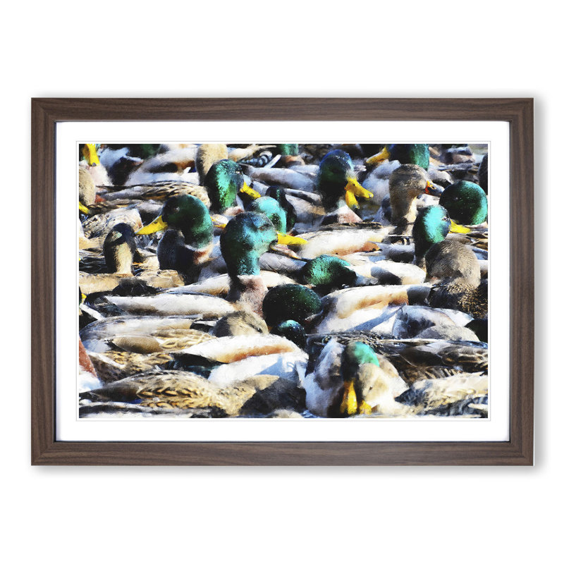 Mallard Ducks - Picture Frame Painting, Walnut Framed, 48cm H x 65cm W x 2cm D