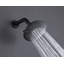 Pomme de douche à main multifonction Raindance-58173304