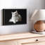 Impression sur toile de chat persan blanc-1633942115