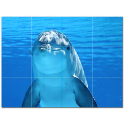 Dolphin Photo 4.25'' x 4.25'' Satin Ceramic Decorative Mural