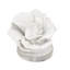 Cole And Grey Polystone Small Textured Coral Sculpture With Clear Acrylic Base