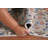 Floral Traditional Area Rug 7x10