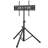Rfiver Single Screen Electronic Mount