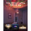 Lampe sur pied Govee