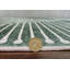 Priene - Tapis d'intérieur lavable à la machine - Tapis vert beige 3 pi x 5 pi-445714980