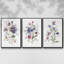 Variété de couleurs I, ensemble de 3 toiles encadrées sur toile-1959494747-1959494746