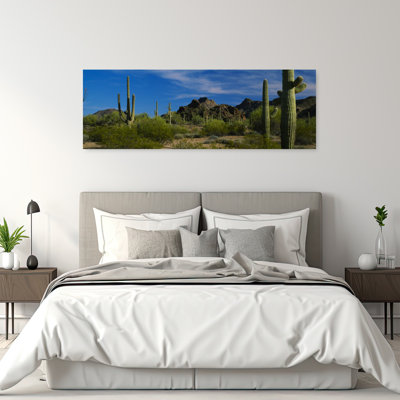 Cactus Plant On A Landscape, Sonoran Desert, Organ Pipe Cactus National Monument, Arizona, Usa Tranquil Abstract Contemporary Cactus Succulent Land...
