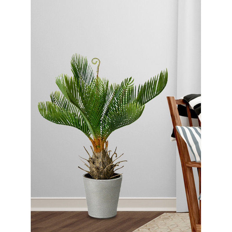 17'' Faux Fern Tree in Cement Pot