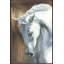 A White Wild Painting by Janice Sadler-47479715-46318946