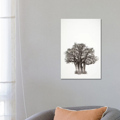 Baobab Legacy III by Klaus Tiedge - Wrapped Canvas Print