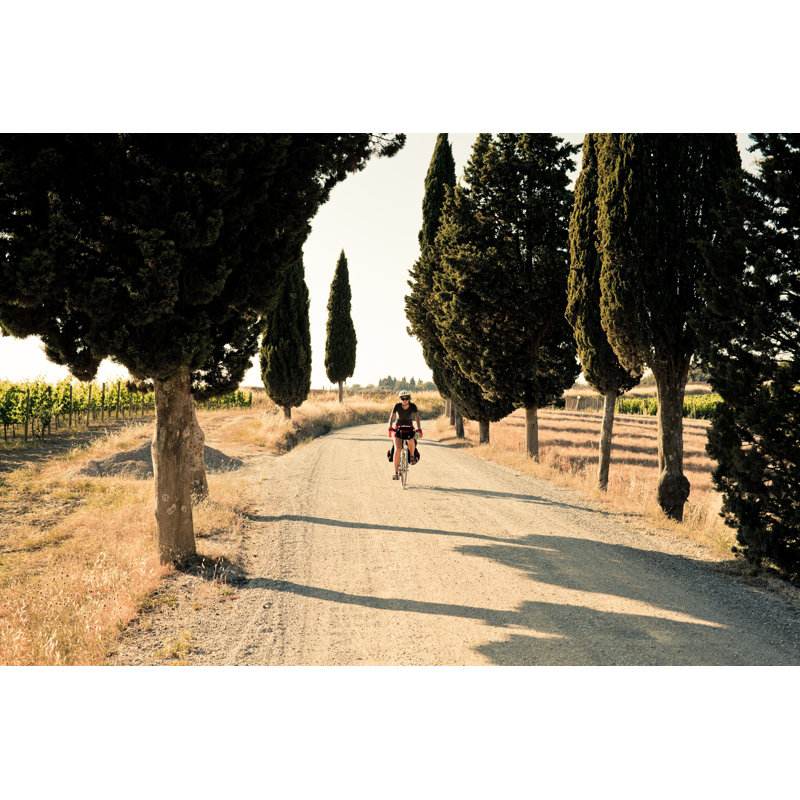 Jeune femme faisant du vélo par Zodebala, H 32 po x l 48 po