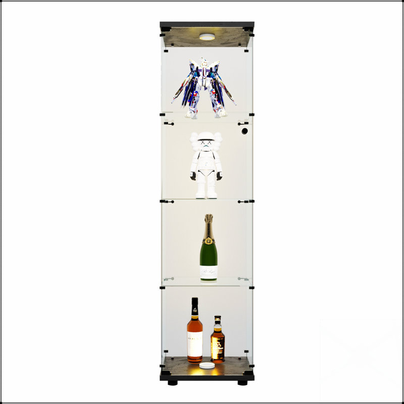 Élégante vitrine lumineuse en verre à DEL avec 4 tablettes et porte, bibliothèque de plancher sur pied pour les intérieurs modernes